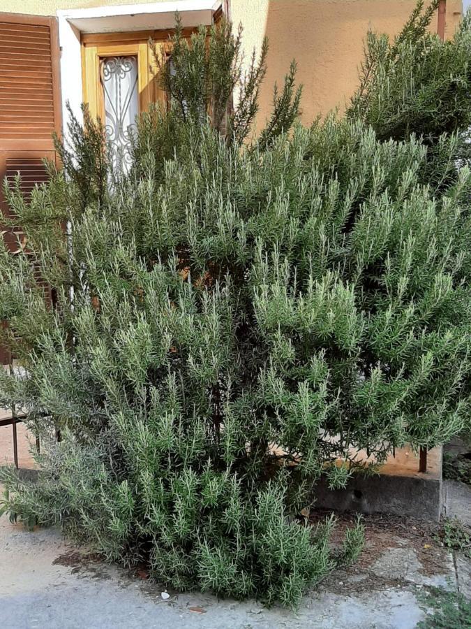 Il Rosmarino Fresonara (Piedmont) Exterior foto